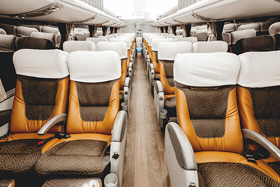 luxury charter buses